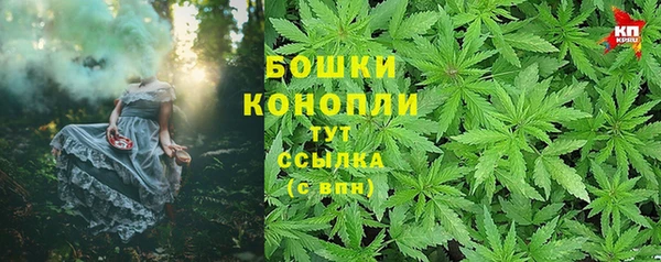 прущие грибы Алзамай