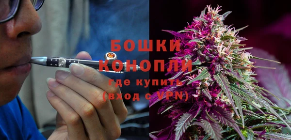 трава Абаза