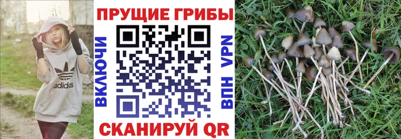 Псилоцибиновые грибы MAGIC MUSHROOMS Октябрьский